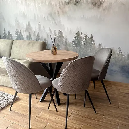 9 Ostoja Beskidy I Sauna Free Apartment