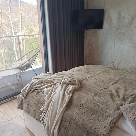 9 Ostoja Beskidy I Sauna Free Apartment *
